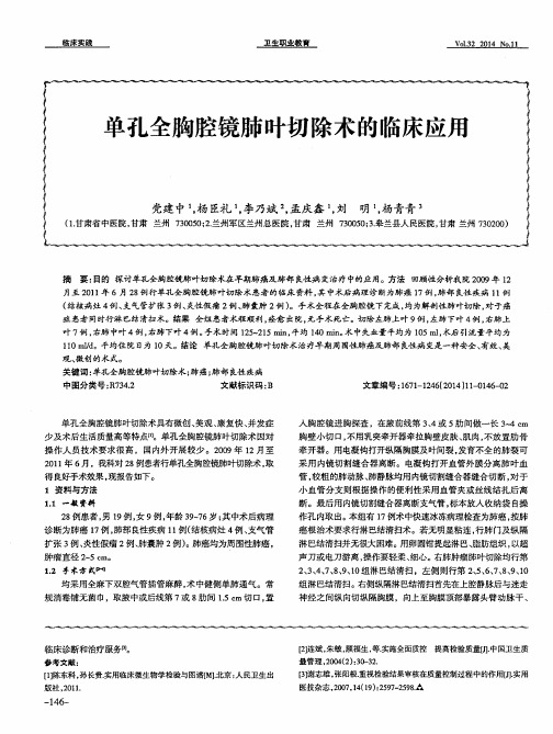 单孔全胸腔镜肺叶切除术的临床应用