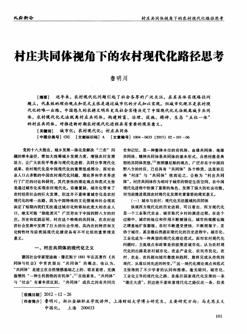 村庄共同体视角下的农村现代化路径思考