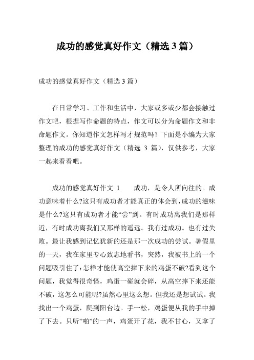 成功的感觉真好作文(精选3篇)
