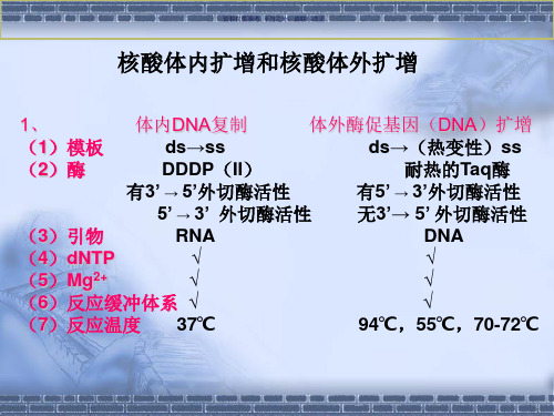 核酸体外扩增