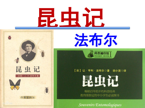 《昆虫记》法布尔