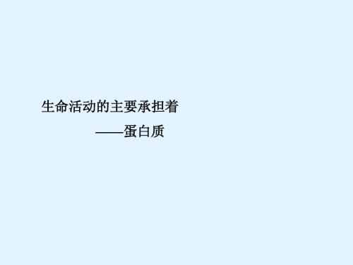 最新2015届高考生物一轮详细复习 生命活动的主要承担者 蛋白质(考点透析+典例跟踪详解)课件 新人教版