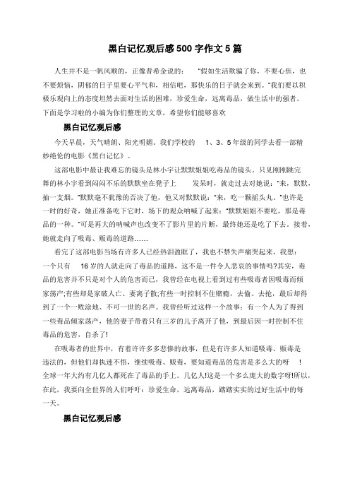 黑白记忆观后感500字作文5篇