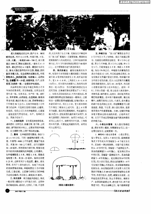 美人指葡萄栽培要点