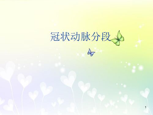 (医学课件)冠状动脉分段PPT幻灯片
