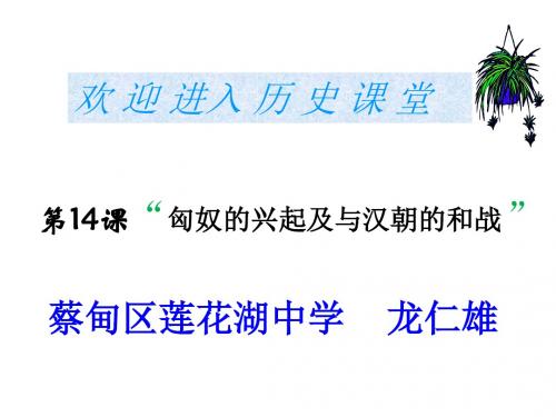 匈奴的兴起及与汉朝的和战ppt20 人教版