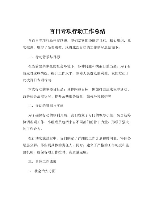 百日专项行动工作总结