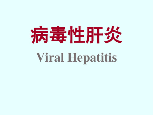 病毒性肝炎 PPT课件