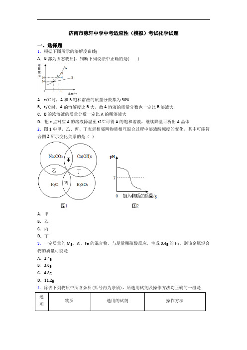 济南市稼轩中学中考适应性(模拟)考试化学试题