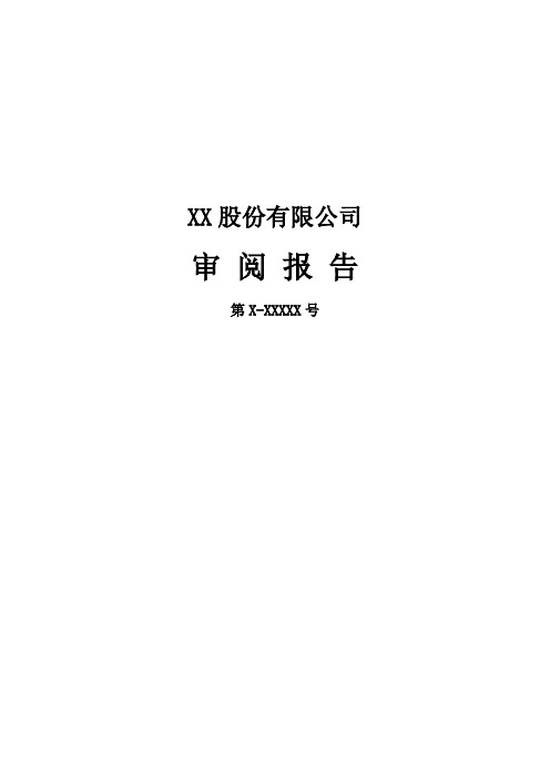 审阅报告及附注模板