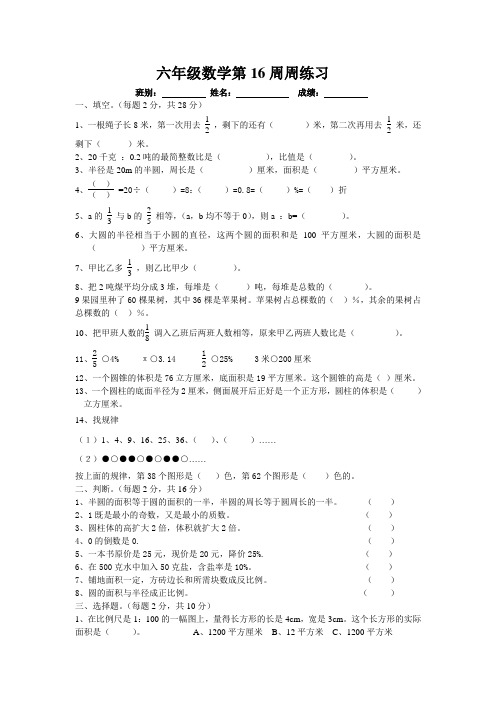 六年级数学第16周周练习