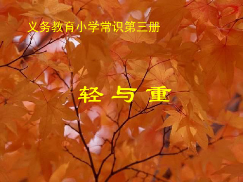 轻与重PPT教学课件