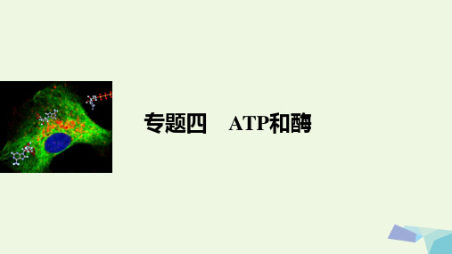 步步高浙江专用2017届高考生物二轮复习专题四ATP和酶课件