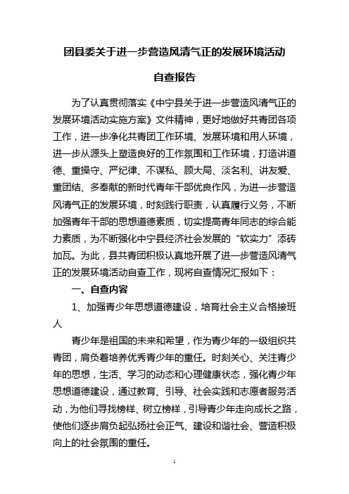 共青团进一步营造风清气正的发展环境活动自查报告1(2012[1].1.30)