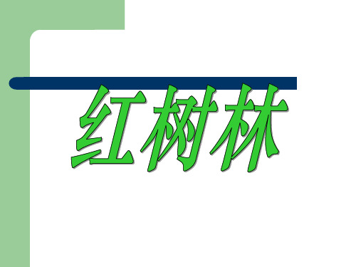 北师大版五年级语文上册《红树林》优质课PPT课件   大赛获奖精美课件PPT