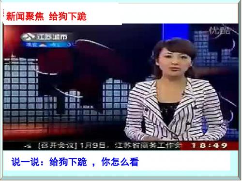 6.7.1《做自尊自信的人》做人要自尊教学课件 鲁教版