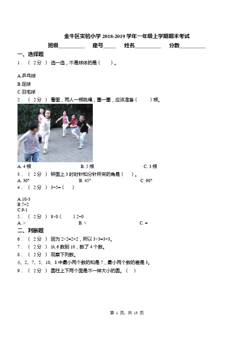 金牛区实验小学2018-2019学年一年级上学期期末考试