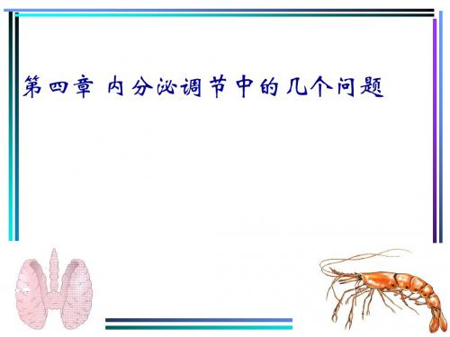 第四章生殖生理-压缩