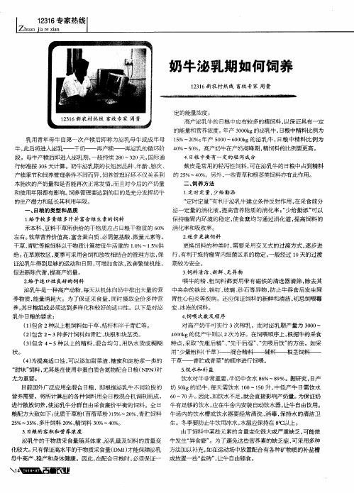 奶牛泌乳期如何饲养