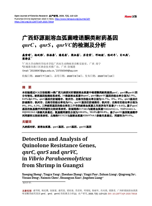 广西虾源副溶血弧菌喹诺酮类耐药基因qnrC、qnrS、qnrVC的检测及分析