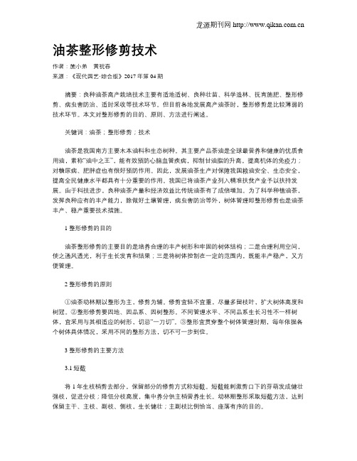 油茶整形修剪技术
