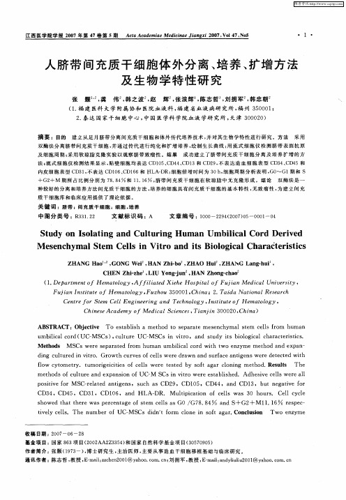 人脐带间充质干细胞体外分离、培养、扩增方法及生物学特性研究