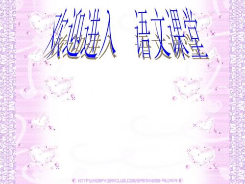《向大树道歉》课件