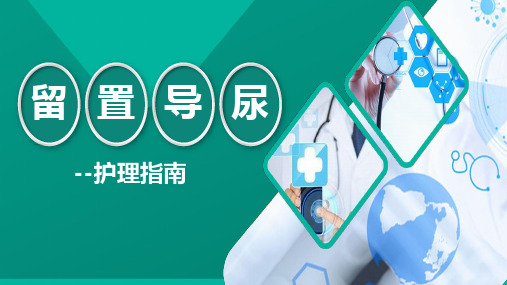 留置导尿护理指南