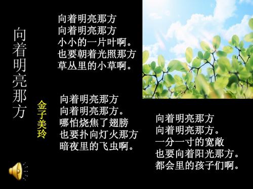 爱读书的树叶