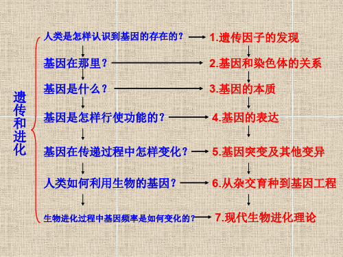 人教版高中生物必修2孟德尔的豌豆杂交实验一 二共52张PPT.ppt