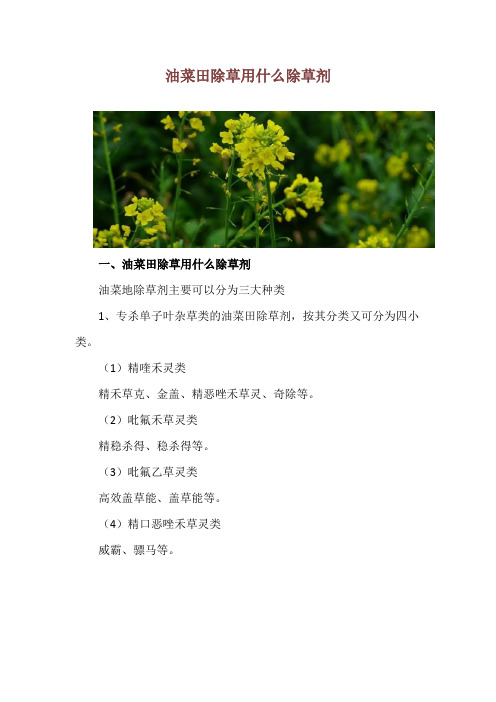 油菜田除草用什么除草剂