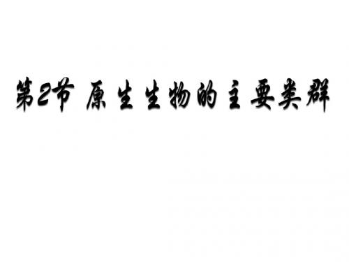 原生生物的主要类群(共26张PPT)