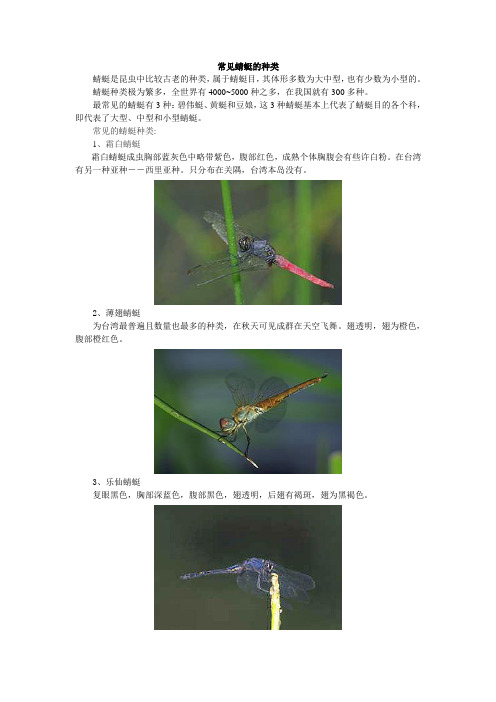 蜻蜓种类