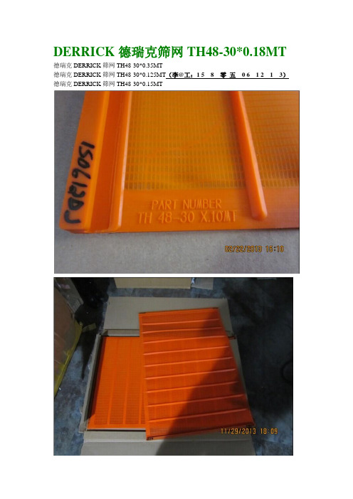 德瑞克聚氨酯筛网TH48-30x018MT(DOC)