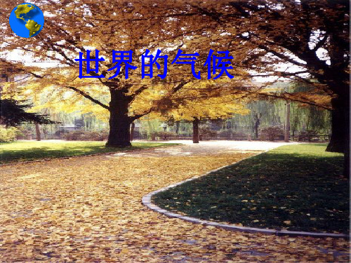 第四节：世界的气候