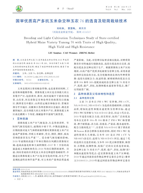 国审优质高产多抗玉米杂交种玉农76的选育及轻简栽培技术
