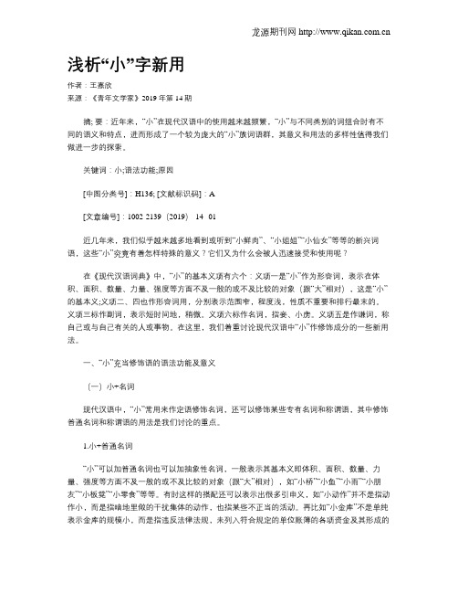 浅析“小”字新用