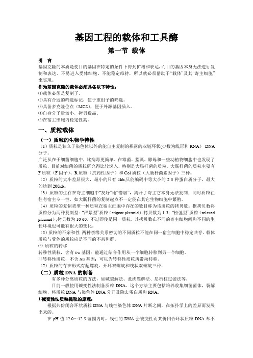基因工程载体和工具酶