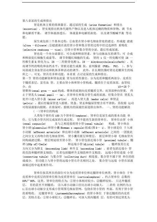 生理学第八章尿的生成和排出