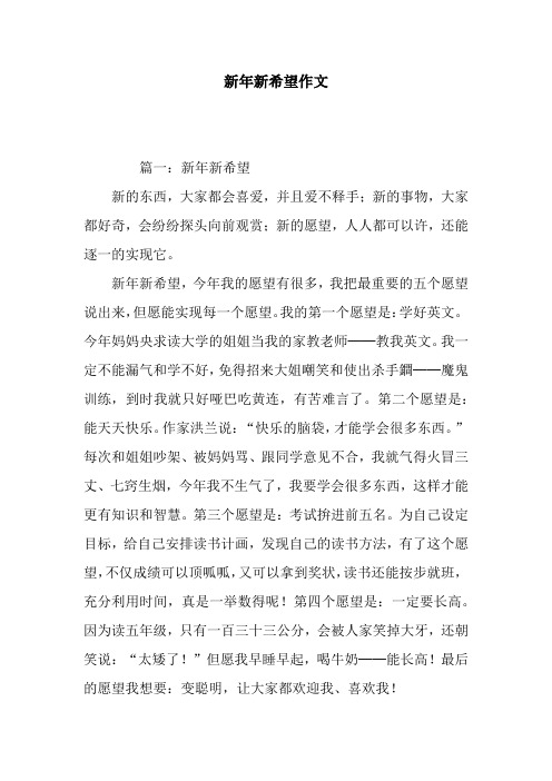 新年新希望作文_2