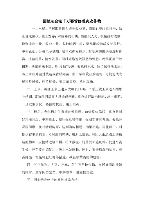 因地制宜法千万要管好受灾农作物.doc