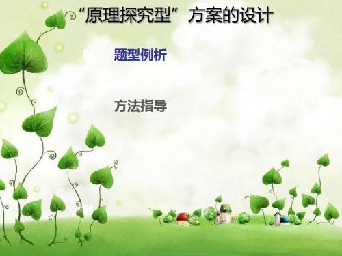 高考化学第一轮复习考点指导2 “原理探究型”方案的设计