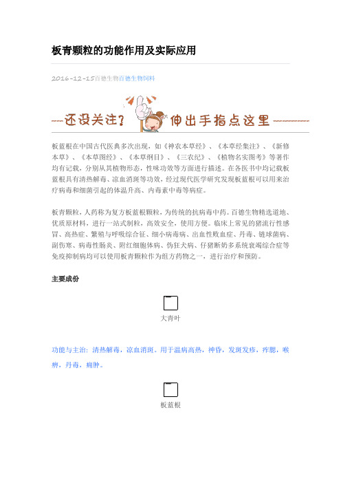 板青颗粒的功能作用及实际应用