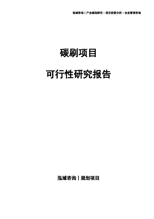 碳刷项目可行性研究报告
