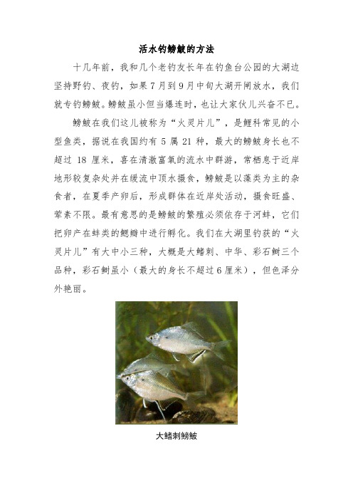 活水钓