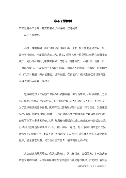 高一散文：忘不了那棵树