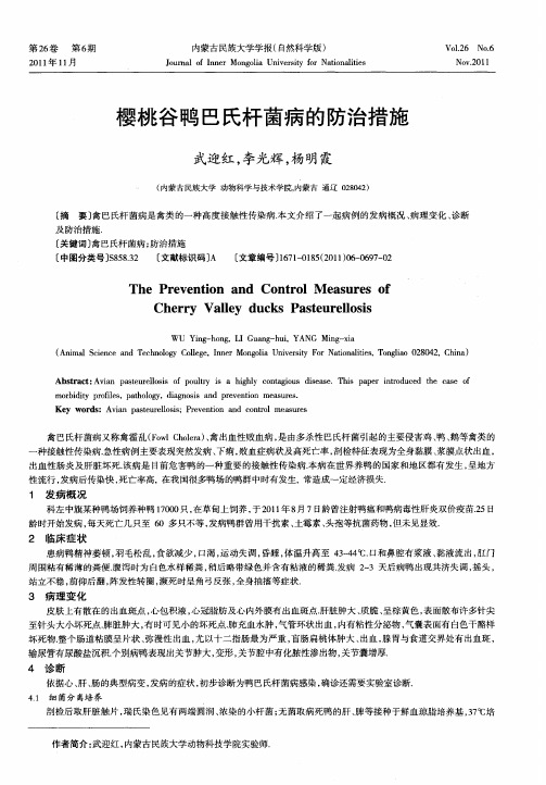 樱桃谷鸭巴氏杆菌病的防治措施