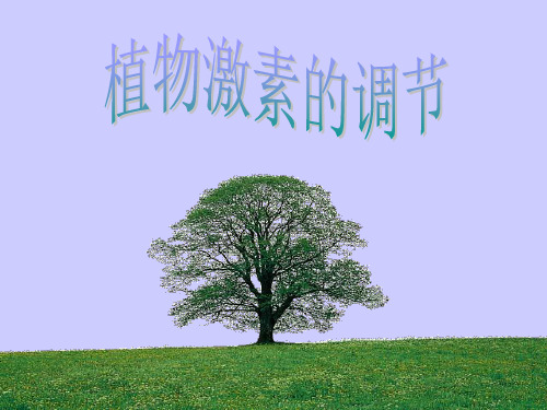 向性运动