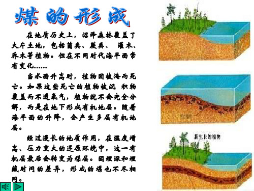 九年级化学石油和煤的综合利用(PPT)3-1