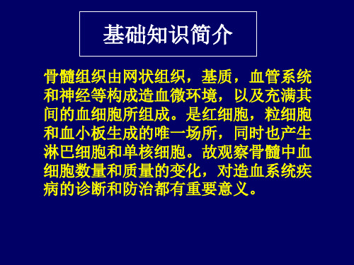 骨髓细胞形态学检查